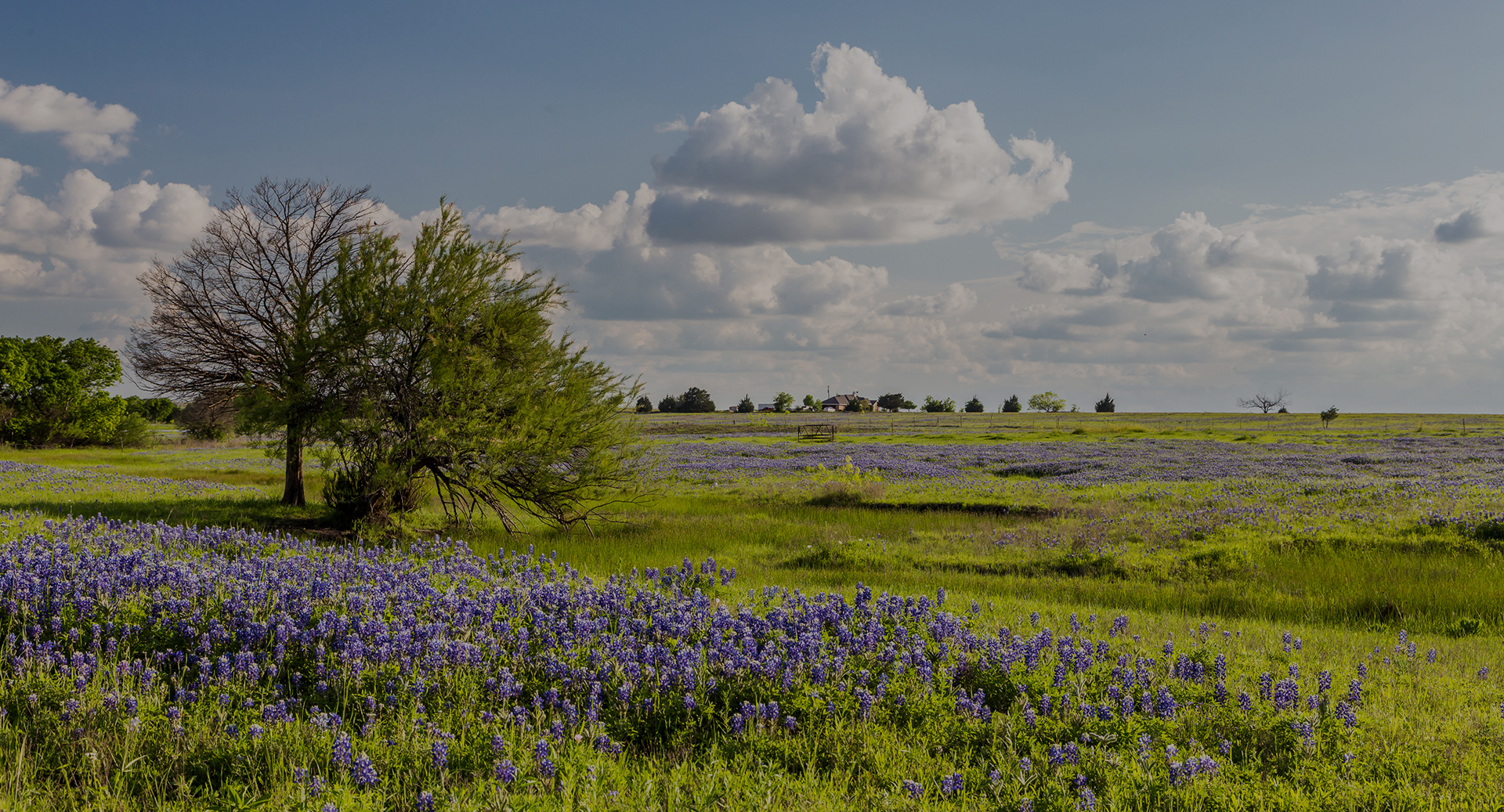 TXLL Group commercial real estate development